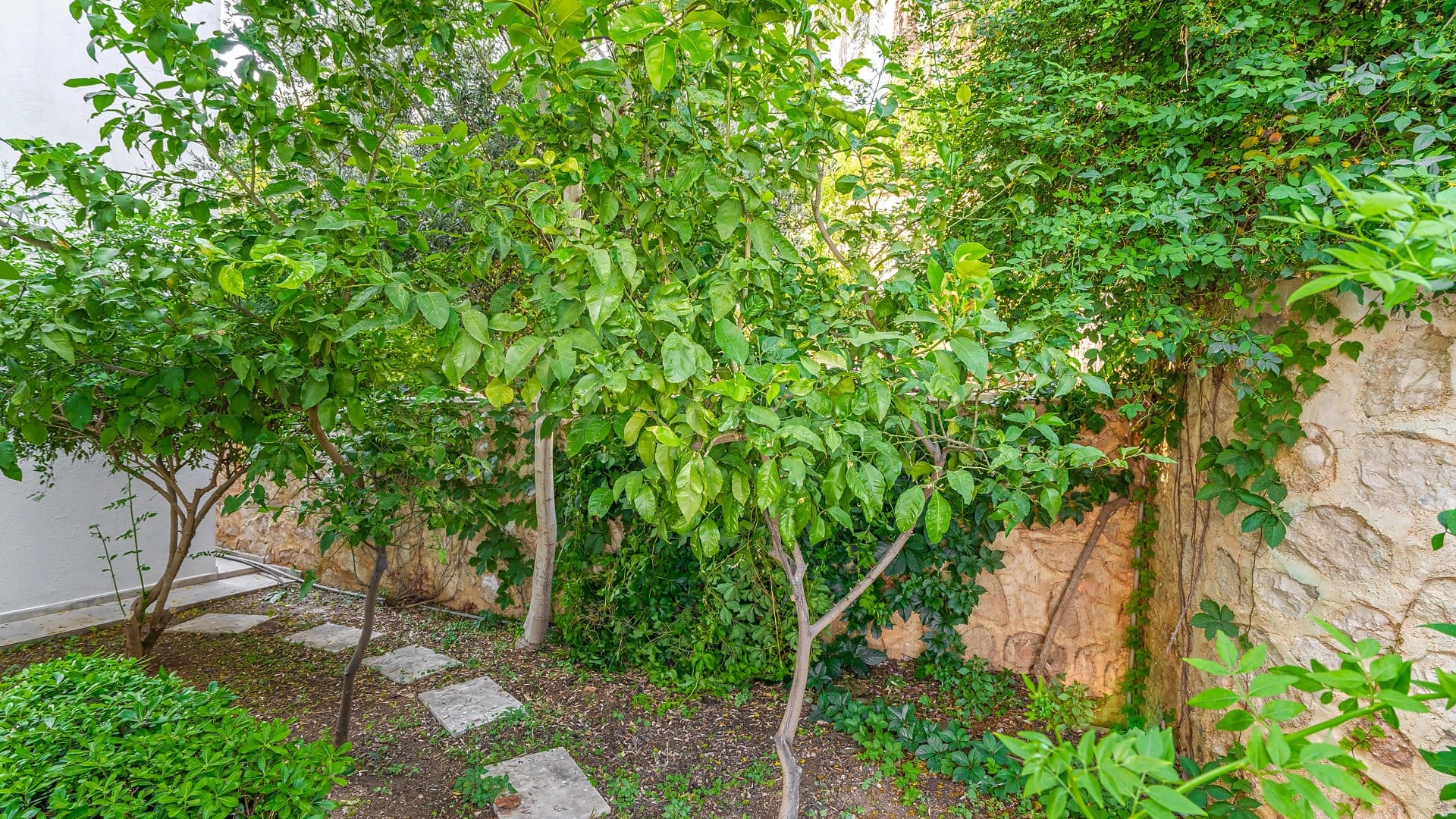 Villa Zeytouna Özel Havuzlu 67