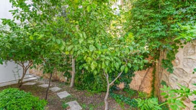 Villa Zeytouna Özel Havuzlu 67